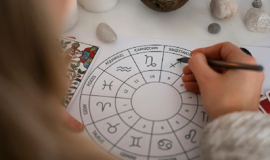 best astrologer - master shiva best astrologer - master shiva